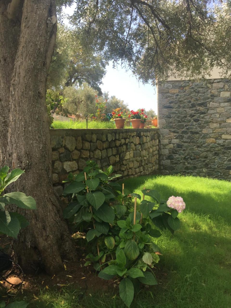 Samothraki Suites Kalisti Xiropotamos Dış mekan fotoğraf