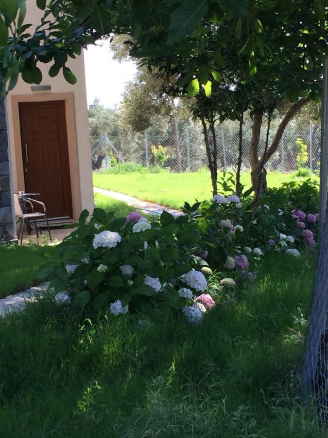 Samothraki Suites Kalisti Xiropotamos Dış mekan fotoğraf
